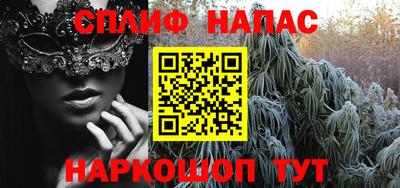 прущие грибы Ирбит