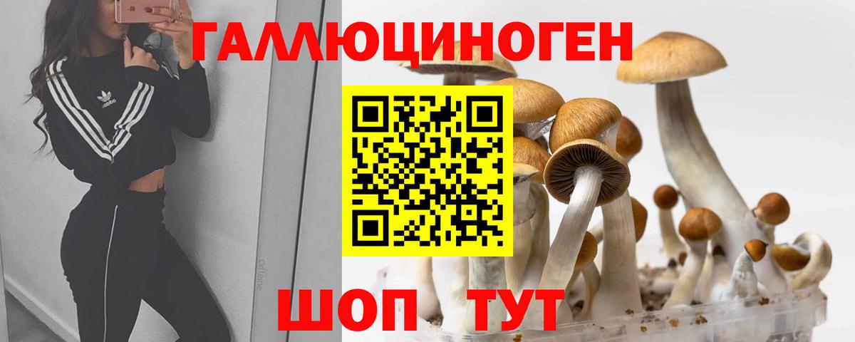как найти   Вход с VPN  Заинск  Галлюциногенные грибы прущие грибы 